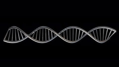 DNA | Motion Graphics - Videohive template