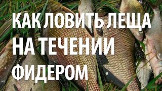 фидерная рыбалка на течении видео смотреть