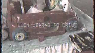 Lucy Learns To Drive