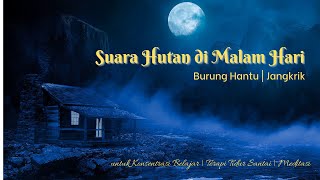 Forest Sounds At Night  Owl  Cricket  Study Concentration  Relaxing Sleep Therapy