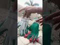 Best Gardening Gloves on Amazon? Honest Review 🧤🌱 #unboxing #gardening