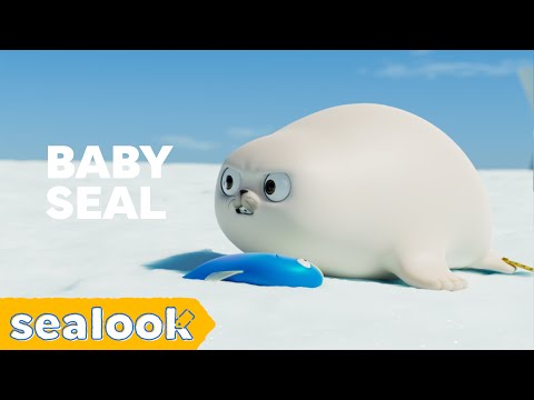 Teeny Tiny Tough Baby Seal! | Baby Seal Special | SEALOOK | Episodes Compilation