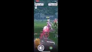 Level 50 Best Buddy Bidoof takes down Mewtwo in PvP