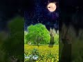 عذبة انتي