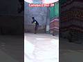 Comeback Day 39/365Days #cricket #cricketlover #video #viralvideo #viral