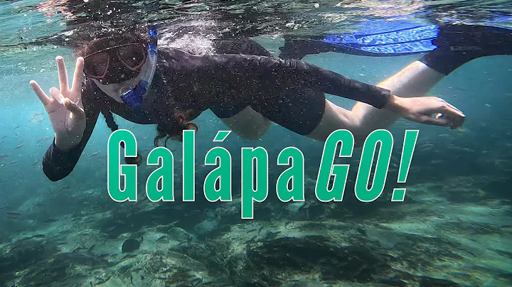 UH Students Dive In to Galápagos Research