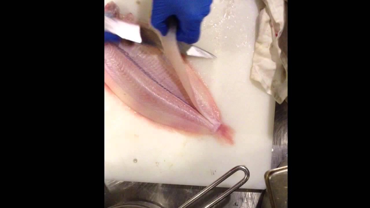 dover-sole-youtube