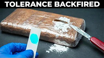 How the Netherlands Went From Tolerance Utopia to Europe’s Drug Capital
