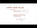 Plasma anion gap