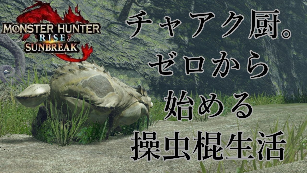 【参加型】７から始める操虫棍生活【MHR:SB】