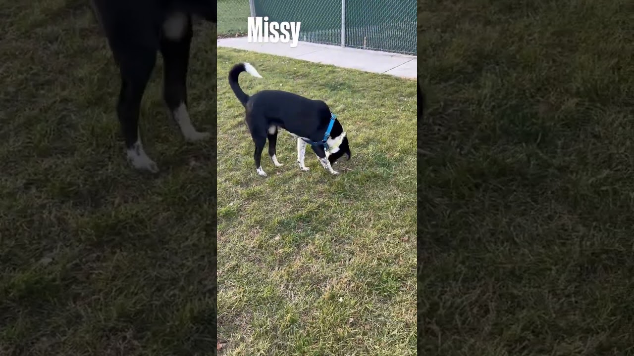 Юта Хьюман - Мисси