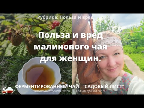 Польза и вред  малинового чая для женского здоровья