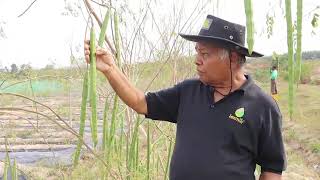 Lexmin Farm Videos#1