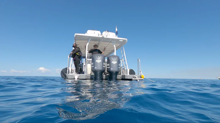 Diving Tobruk with Lady musgrave experience