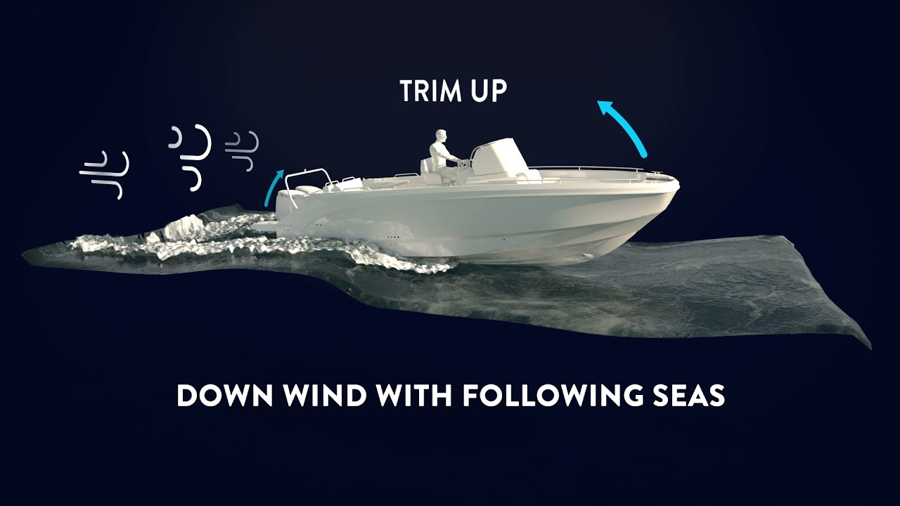 TRIM Technology