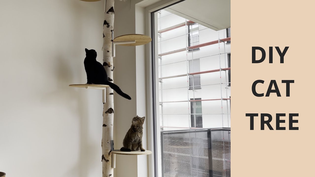 DIY | Our cat tree