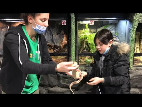 جولة بحديقة الحيوانات المغلقة - zootopia