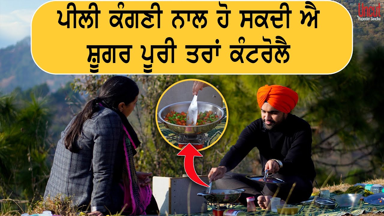 ਇੰਝ ਹੋ ਸਕਦੀ ਐ ਸ਼ੂਗਰ ਦੀ ਬਿਮਾਰੀ ਪੂਰੀ ਤਰਾਂ ਠੀਕ l Health and Wellness awareness l Dr.Manparvesh S Chahal