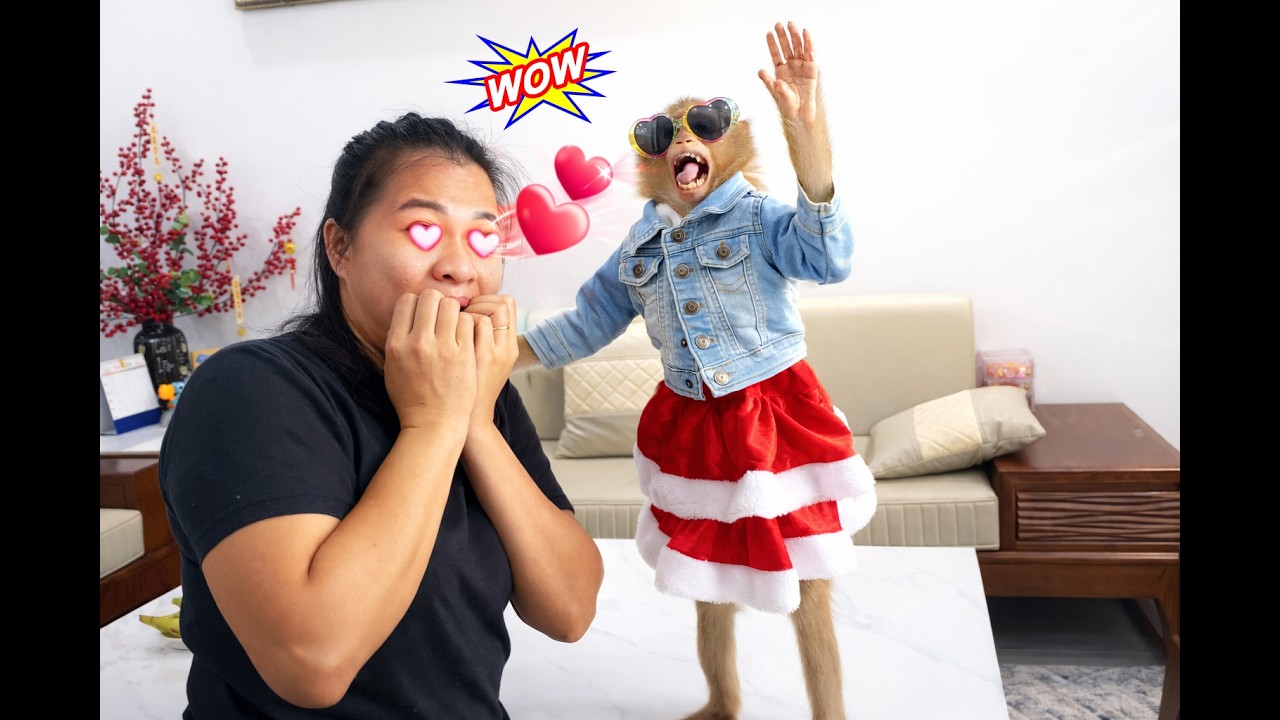 That's so cool! Lyly the monkey's super cool outfit made her mom burst out laughing.
