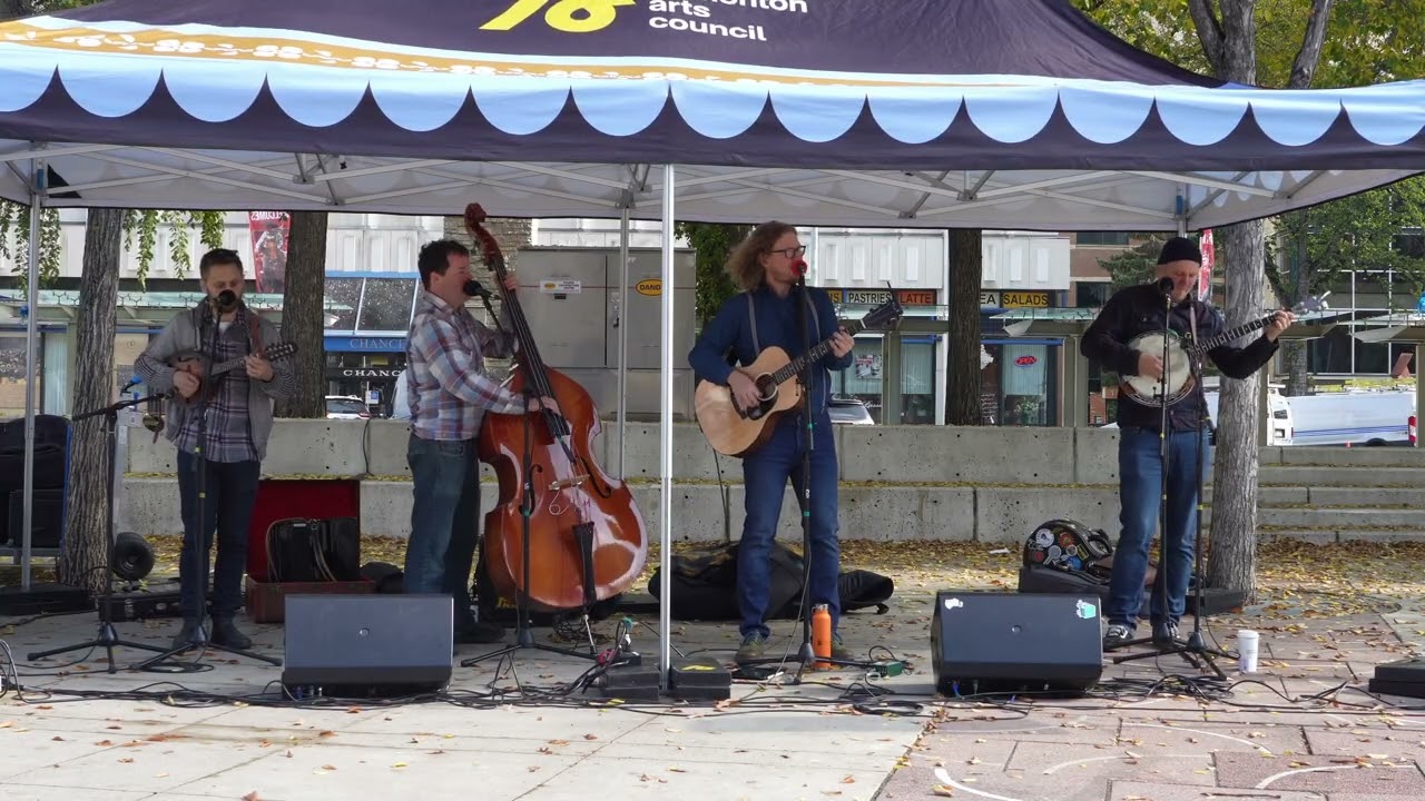 The Pluckin' Holler Boys