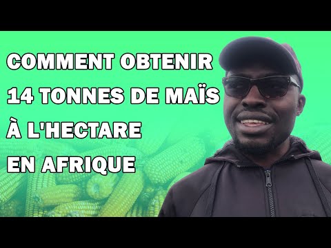 Vidéo: Centrale à pistons à gaz : le principe de fonctionnement. Exploitation et maintenance de centrales électriques à pistons à gaz