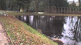 Painswicksnowdrops0702.AVI