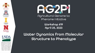 AG2PI Workshop #19 - Water Dynamics from Molecular Structure to Phenotype