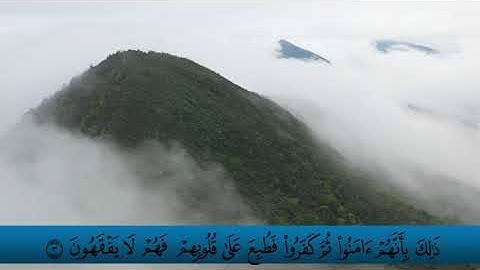 الشيخ فيــصل غــزاوي سورة المنافقون