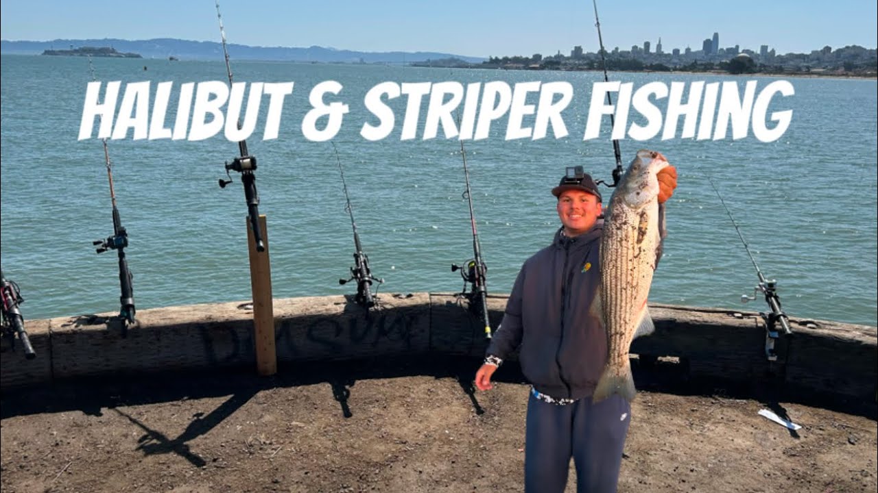 Fishing for Halibut & Striper on SF Pier