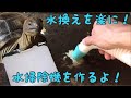 水換えを簡単に！ 〜簡易水掃除機を作ってみた〜