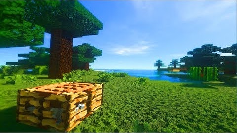 Most Realistic Minecraft VR Let