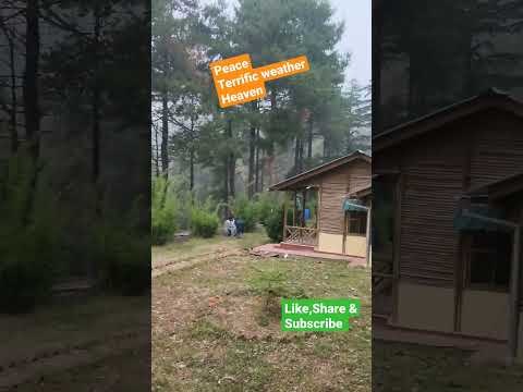 Forest Eco Huts