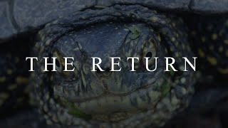 THE RETURN