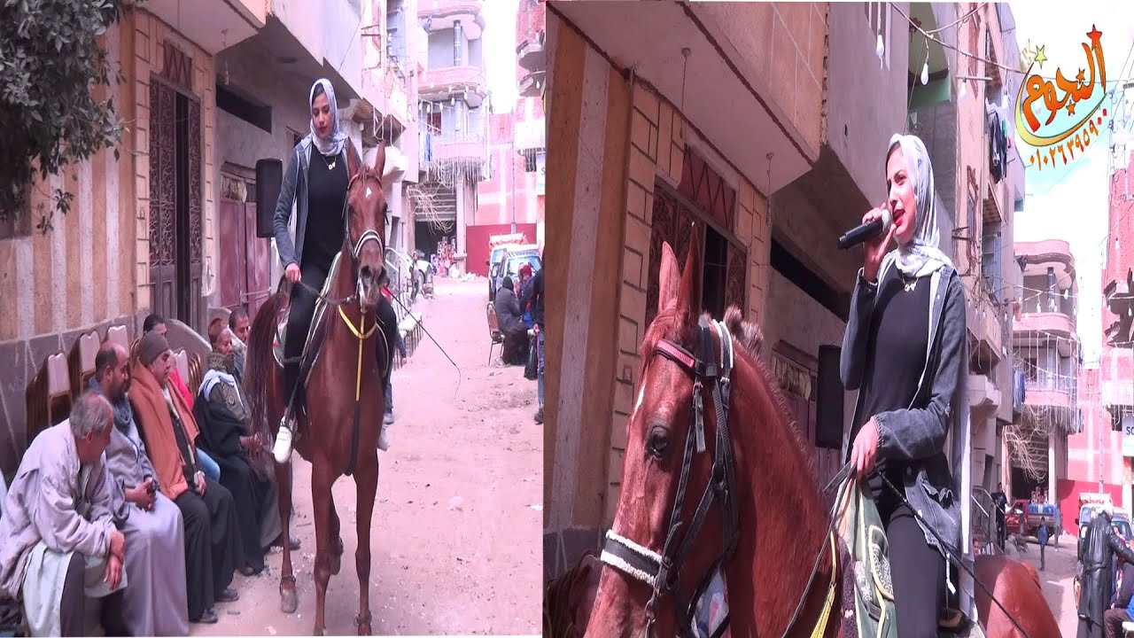 راقصة خيل 2022🐎🥰شركة النجوم 01026395900