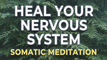 Nervous System Healing Journey | Somatic Meditation for Trauma Release