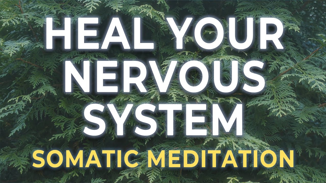 Nervous System Healing Journey | Somatic Meditation for Trauma Release ...
