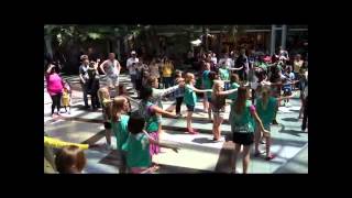 GSNETX - IGNITE Flash Mob at Vista Ridge Mall.avi