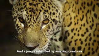 Peru Hidden Treasure - Trailer (2)