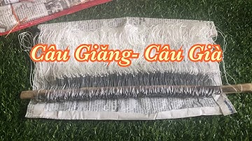 Bộ Lưỡi Câu Giăng- Câu Già- Câu Vương - Câu Kiều [Zalo:0938 336 470 A Đẩu]