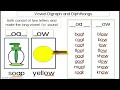Vowel Digraphs and Diphthongs Quiz