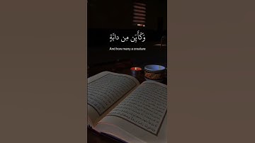 من سورة النحل{ٱلَّذِينَ صَبَرُواْ وَعَلَىٰ رَبِّهِمْ يَتَوَكَّلُونَ}