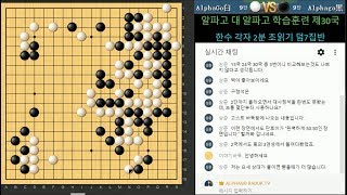 20170914 3 알파고 대 알파고 제30국 처절한 버티기와 계산서