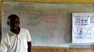 data processing ss1 2nd