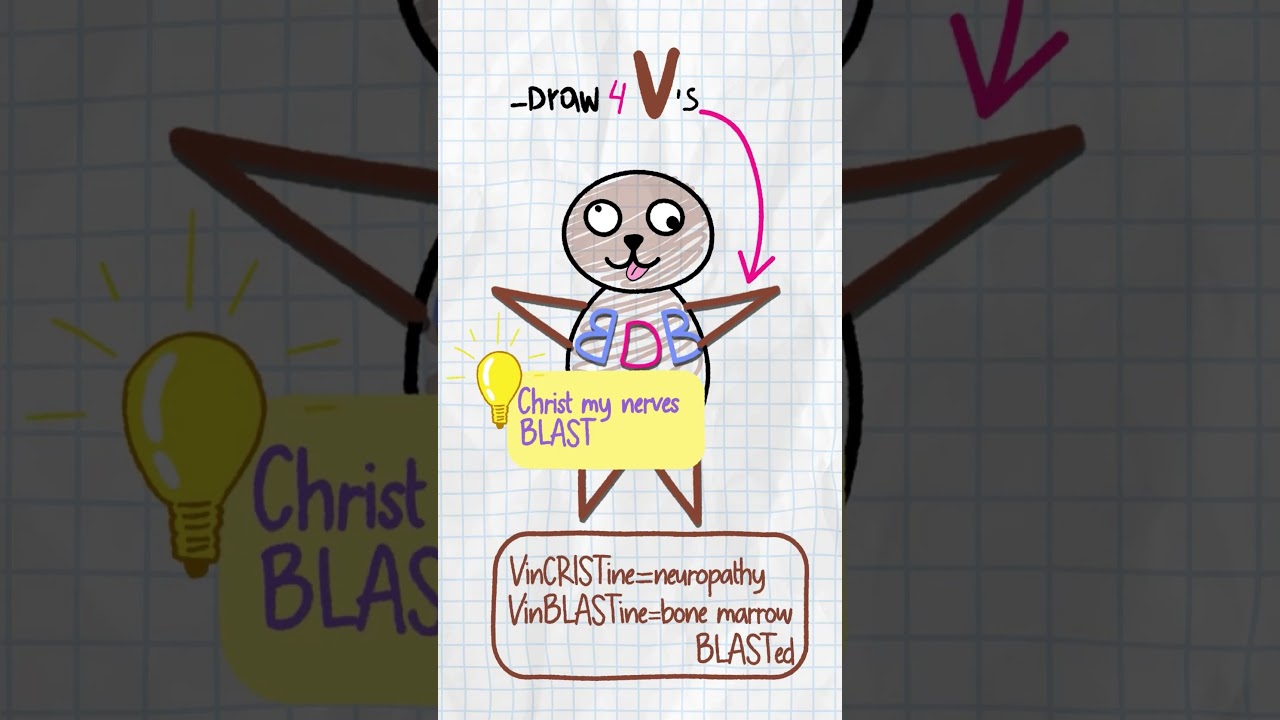 Never forget the Chemotoxicity Bear again 🧸 💊
