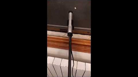 Bioacoustic monitoring of bats, also at home, with Dodotronic Ultramic384k BLE