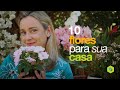 10 flores para sua casa