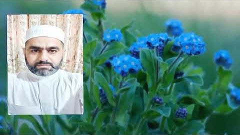 💐القارئ🌿ايــــاد البداحي وماتيسر من سورة الاعراف المباركه من الآيه 138ـــ 151