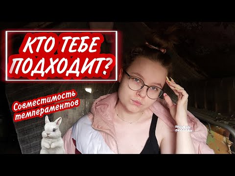 СОВМЕСТИМОСТЬ ТЕМПЕРАМЕНТОВ / кто тебе подходит по темпераменту