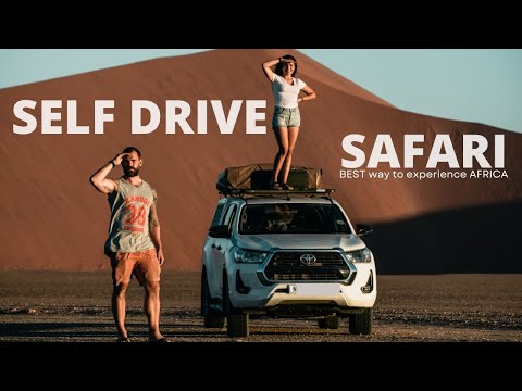 Video: Top 5 Self-Drive Safari-destinationer i södra Afrika