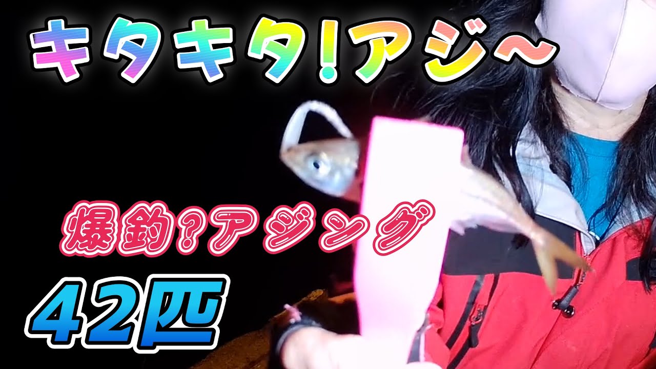 2025.6.28 キタキタ！アジ 志摩半島で爆釣?アジング